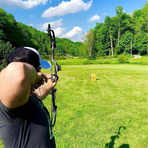 Morrell Yellow Jacket Stinger, Field Point Archery Target with 2 Shooting Sides & 10 Bullseyes - Portable Backyard Hunting Practice Bag with E-Z Tote Carrying Handle & Easy Arrow Removal in Saudi Arabia
