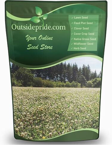 Outsidepride Perennial White Ladino Clover Seed - 5 lbs. Nitrocoated, Inoculated Bulk Clover Seeds, Ideal for Pasture, Forage, Food Plots & Wildlife Ground Cover for Continuous & Rotational Grazing in Kuwait
