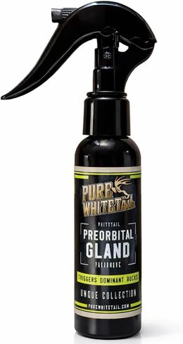 Preorbital Gland Scent | Deer Forehead Gland Scent | Natural Deer Scent | Mock Scrape Scent | Makes a Licking Stick for Deer | 2 oz Bottle in Kuwait