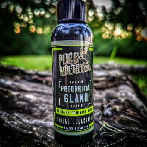 Preorbital Gland Scent | Deer Forehead Gland Scent | Natural Deer Scent | Mock Scrape Scent | Makes a Licking Stick for Deer | 2 oz Bottle in Kuwait