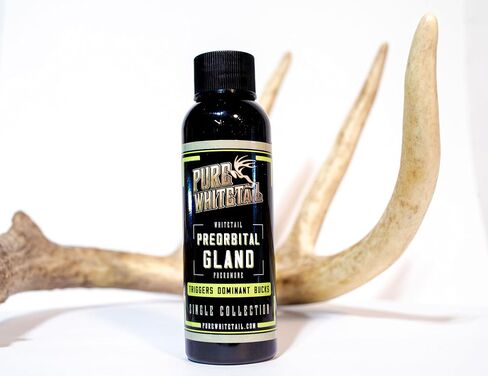 Preorbital Gland Scent | Deer Forehead Gland Scent | Natural Deer Scent | Mock Scrape Scent | Makes a Licking Stick for Deer | 2 oz Bottle in Kuwait