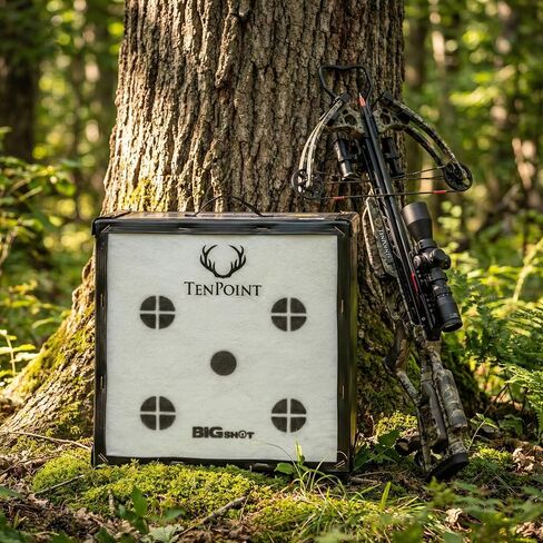 BIGSHOT Iron Man Kinetic 650 Ten Point Edition Crossbow Target - High Speed Archery Target for Backyard, 650 FPS Rated, Easy Arrow Removal, Field Point Target for Crossbow and Compound Bow in Saudi Arabia