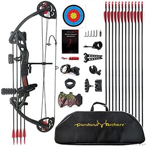 Compound Bow Archery for Youth and Beginner, Right Handed,19"-28" Draw Length,15-29 Lbs Draw Weight, 260 fps in Saudi Arabia