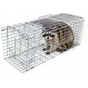 31" Humane Catch and Release Animal Trap, Large Live Animal Trap Cage Humane One-Door Solid Steel Catch and Release Rodent Cage for Raccoon, Rabbits, Stray Cats, Squirrel, Groundhogs, Opossums in Saudi Arabia
