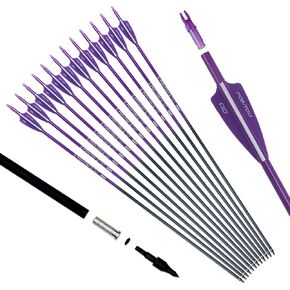 30inch Carbon Arrow Fluorescence Color Targeting and Practice and Hunting Arrows for Compound Bow and Recurve Bow with Removable Tips(Pack of 12) in Saudi Arabia