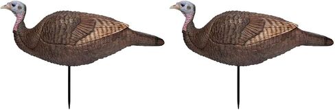 Primos Hunting Lil Gobstopper Hen in Saudi Arabia