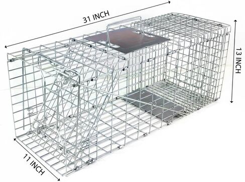 31" Humane Catch and Release Animal Trap, Large Live Animal Trap Cage Humane One-Door Solid Steel Catch and Release Rodent Cage for Raccoon, Rabbits, Stray Cats, Squirrel, Groundhogs, Opossums in Saudi Arabia