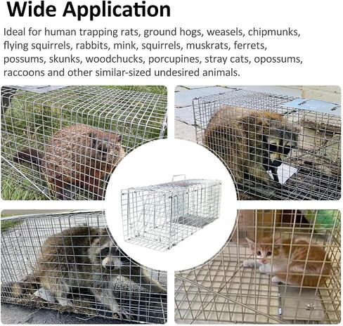 31" Humane Catch and Release Animal Trap, Large Live Animal Trap Cage Humane One-Door Solid Steel Catch and Release Rodent Cage for Raccoon, Rabbits, Stray Cats, Squirrel, Groundhogs, Opossums in Saudi Arabia