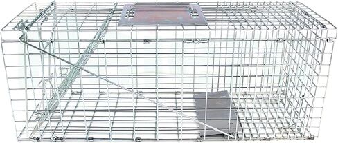 31" Humane Catch and Release Animal Trap, Large Live Animal Trap Cage Humane One-Door Solid Steel Catch and Release Rodent Cage for Raccoon, Rabbits, Stray Cats, Squirrel, Groundhogs, Opossums in Saudi Arabia