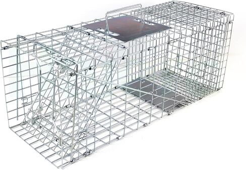31" Humane Catch and Release Animal Trap, Large Live Animal Trap Cage Humane One-Door Solid Steel Catch and Release Rodent Cage for Raccoon, Rabbits, Stray Cats, Squirrel, Groundhogs, Opossums in Saudi Arabia