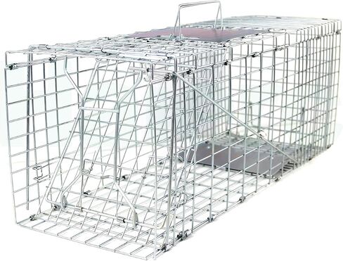 31" Humane Catch and Release Animal Trap, Large Live Animal Trap Cage Humane One-Door Solid Steel Catch and Release Rodent Cage for Raccoon, Rabbits, Stray Cats, Squirrel, Groundhogs, Opossums in Saudi Arabia