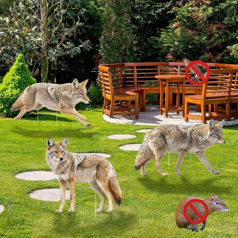 3 Pack 27x 25 Inch Coyote Decoy for Geese, Lifelike Predator with Metal Stakes, Fake Predator Hunting Decoy 2D Silhouette Coyote Devices for Yard Garden in Saudi Arabia