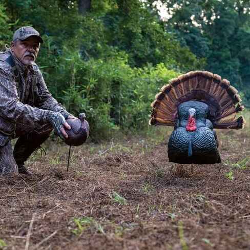 PRIMOSTurkey Decoy in Saudi Arabia