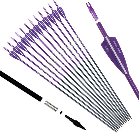 30inch Carbon Arrow Fluorescence Color Targeting and Practice and Hunting Arrows for Compound Bow and Recurve Bow with Removable Tips(Pack of 12) in Saudi Arabia