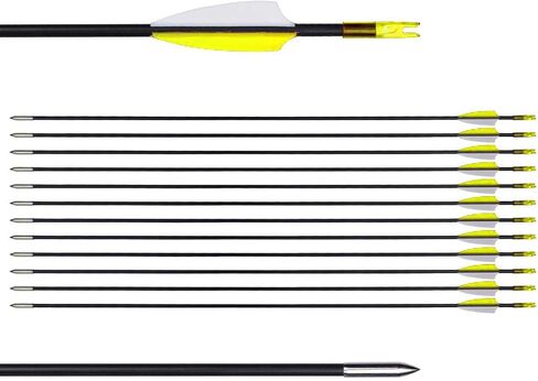 31" Training Arrows-Archery Practice Target Arrows for Youth or Beginners | Archery Practice Target Arrows, Durable Shaft, Recurve Bow Compatible, Compound Bow Compatible, Longbow Compatible in Saudi Arabia