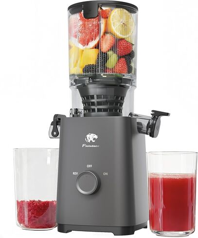 Cold Press Juicer Machines, 5.3" Large Feed Chute Slow Masticating Juicer, Powerful AC Brushless Motor Fit Whole Fruits & Vegetable, 99% Juice Yield, Ultra Quiet, Easy Clean in Saudi Arabia