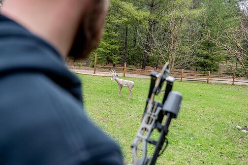 Delta McKenzie Intruder 3D Deer Archery Target - Broadhead Compatible Self-Healing Foam with Replaceable Vital Core - Outdoor Bowhunting Practice Target for Compound Bows & Crossbows (350 FPS Rated) in Saudi Arabia