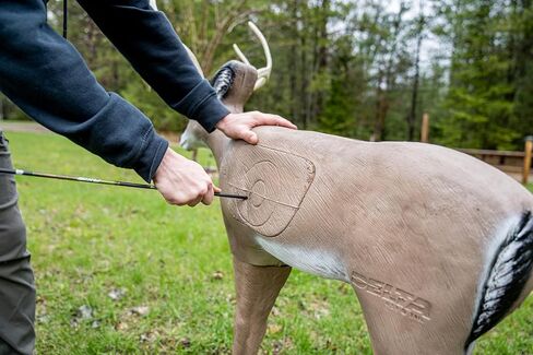 Delta McKenzie Intruder 3D Deer Archery Target - Broadhead Compatible Self-Healing Foam with Replaceable Vital Core - Outdoor Bowhunting Practice Target for Compound Bows & Crossbows (350 FPS Rated) in Saudi Arabia