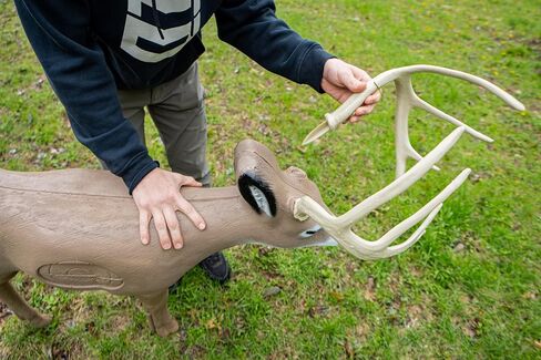 Delta McKenzie Intruder 3D Deer Archery Target - Broadhead Compatible Self-Healing Foam with Replaceable Vital Core - Outdoor Bowhunting Practice Target for Compound Bows & Crossbows (350 FPS Rated) in Saudi Arabia