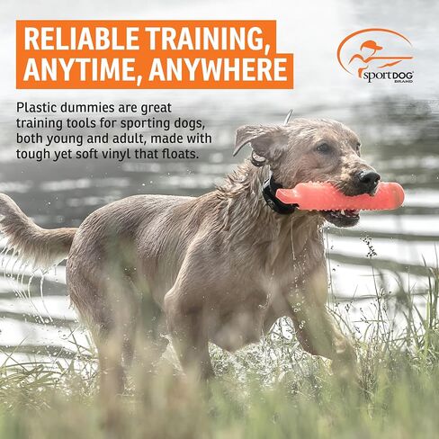 SportDOG Plastic Dummy, Orange, Regular Size 2in x 12in | Training Dummy for Sporting Dogs, Orange to Train Dogs to Use Their Noses After Reaching the Area of a Fall in Saudi Arabia