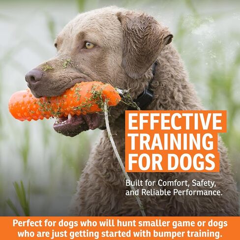 SportDOG Plastic Dummy, Orange, Regular Size 2in x 12in | Training Dummy for Sporting Dogs, Orange to Train Dogs to Use Their Noses After Reaching the Area of a Fall in Saudi Arabia