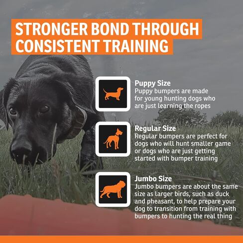 SportDOG Plastic Dummy, Orange, Regular Size 2in x 12in | Training Dummy for Sporting Dogs, Orange to Train Dogs to Use Their Noses After Reaching the Area of a Fall in Saudi Arabia
