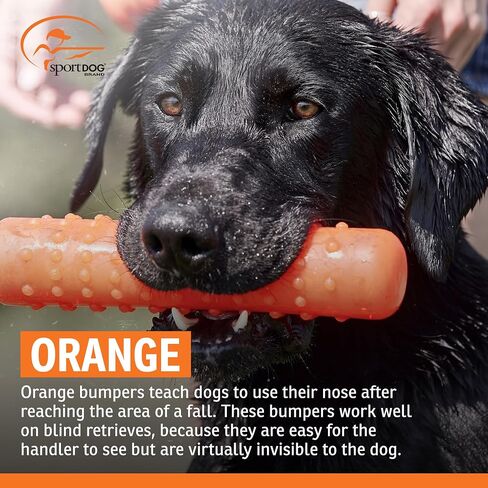 SportDOG Plastic Dummy, Orange, Regular Size 2in x 12in | Training Dummy for Sporting Dogs, Orange to Train Dogs to Use Their Noses After Reaching the Area of a Fall in Saudi Arabia