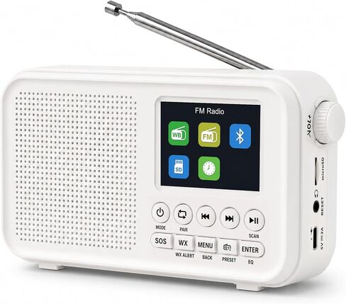 FM Radio with Bluetooth, NOAA Weather Band, 2.4" Color Screen, Rechargeable Portable Radio, Dual Alarms, microSD Playback, USB-C Charging, Headphone Jack for Home, Bedroom, Office & Travel in Saudi Arabia