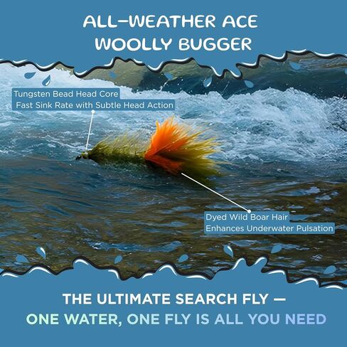 Bass Flies – 28Pcs Top Water Flies, Poppers, Foam Beetles, Woolly Bugger & Clouser Minnow Streamers, Dry Wet Nymphs, Sizes #6-#16, Ideal July-September Summer Bass Fishing for Lakes, Rivers & Streams in Saudi Arabia