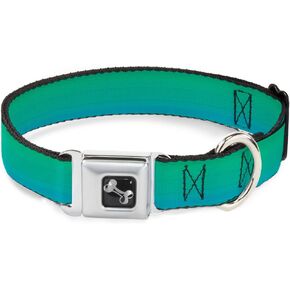 Dog Collar Seatbelt Buckle Teal Ombre 9 to 15 Inches 1.0 Inch Wide