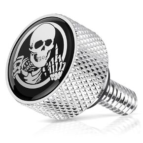 AMAZICHA Stainless Seat Bolt Fender Rear Seat Screw Skull Pattern Chrome 1/4"-20 Thread Compatible with 1997-2024 Harley Davidson Touring XG XL Dyna Softail Sportster CVO Fatbob