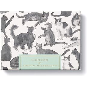 Compendium Cards with Adorable Cat Illustrations 12 Note Cards for Appreciation & Friendship