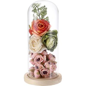 JUXYES Glass Display Dome Cloche with Solid Wood Base, Clear Glass Dome Cloche Bell Terrarium Jar Dustproof Glass Cloche Bell Jar Display for Plants Collectible Figure