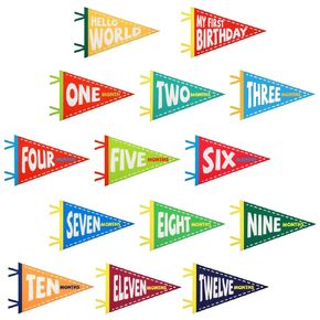 14pcs Baby Milestone Flags, Felt Monthly Milestone Pennant Flag Colorful Baby Milestone Signs for Newborn Baby Shower 1st Birthday Party Decorations (Pattern 1)