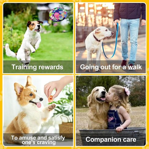 شرائح دجاج متشنجة من Chienmily Dog Treats، مضغ جرو طبيعي تمامًا من الدرجة البشرية، للكلاب الصغيرة والمتوسطة والكبيرة، 11.6 أونصة in Kuwait