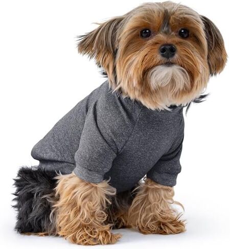 Rocky Thermal Jacket Clothes Fleece Lined Sweater for Dogs, Puppies, Warm Coat Bodysuit Onesie One Piece Vest Pet Jammies with Leg Warmers for Small, Medium, Large Dogs Cats (Dinosaur, Large) in Saudi Arabia