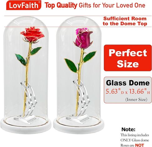 LovFaith 14.56 بوصة ارتفاع × 5.9 بوصة عمق قبة عرض زجاجية مع قاعدة، مضادة للغبار للورد الذهبي والورد الفضي والمجموعات والتذكارات والديكورات in Saudi Arabia
