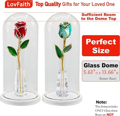 LovFaith 14.56 بوصة ارتفاع × 5.9 بوصة عمق قبة عرض زجاجية مع قاعدة، مضادة للغبار للورد الذهبي والورد الفضي والمجموعات والتذكارات والديكورات in Saudi Arabia