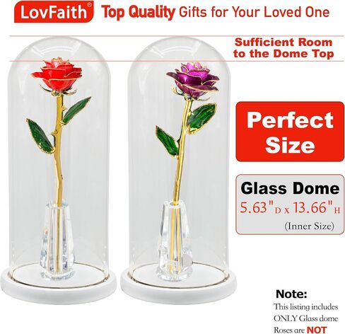 LovFaith 14.56 بوصة ارتفاع × 5.9 بوصة عمق قبة عرض زجاجية مع قاعدة، مضادة للغبار للورد الذهبي والورد الفضي والمجموعات والتذكارات والديكورات in Saudi Arabia