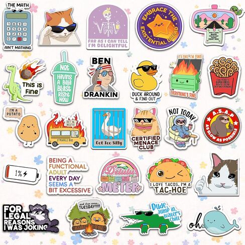 300PCS Funny Stickers for Adults - Delulu is Da Solulu Sticker Pack By Puraesla - Sarcastic Meme Decals for Best Friends, Co-Workers Waterproof Vinyl for Laptop, Water Bottle, Journal, Scrapbooking in Saudi Arabia