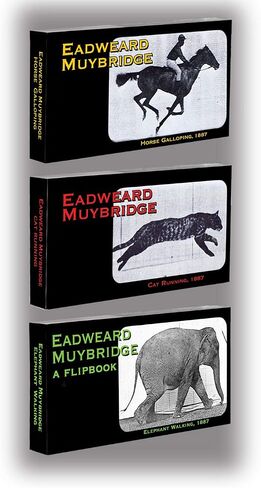 طائرات تدريب الصواريخ Flipbook 3-Pack للأطفال 6-12، كتب الرسوم المتحركة فليب | الطيران والقطارات ومهمة أبولو مون على ورق الكتب القلاب، مجموعة كتب قلابة تعليمية للعلوم والتكنولوجيا والهندسة والرياضيات للبنين والبنات، العلوم المتحركة in Kuwait