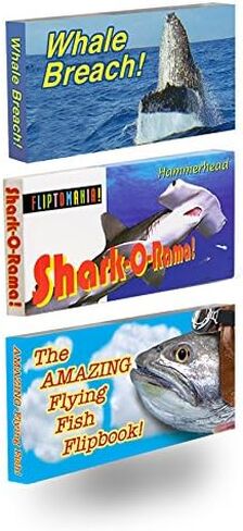 Planes Trains Rockets Flipbook 3-Pack for Kids 6-12, Animation Flip Books | Flight, Trains & Apollo Moon Mission on Flip Book Paper, Educational STEM Flipbook Set for Boys & Girls, Animated Science in Kuwait