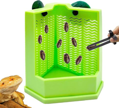 Bearded Dragon Feeder Chameleon Feeder for Mounted Insect (Medium) | Plastic,Anti-Escape,Corner,Crested Gecko Tank Accessories,with Rope Suction Cup and Tweezers,for Lizard Gecko Frog in Saudi Arabia
