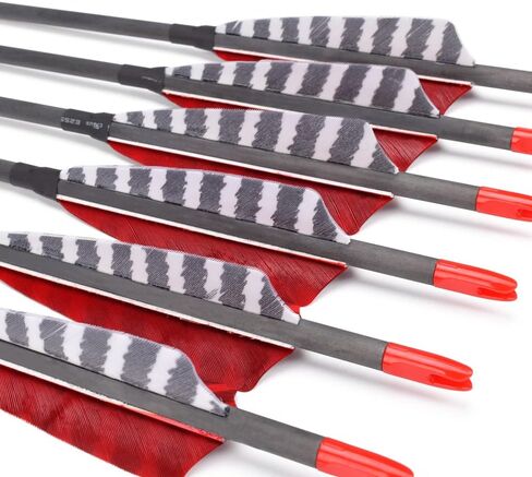 Pure Carbon Arrows 600 700 Spine 30 Inch Turkey Feather Fletching Screw in Field Points Targeting Hunting for Traditional Long Bow Recurve Bow Compound Bow in Saudi Arabia