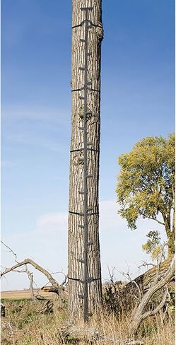 BIG GAME Climbing Ladder Sticks, Tree Stand and Hunting Gear System, 20’ Quick-Stick - Portable Safety Accessories and Equipment for Mobile Deer Hunters, Climbers, and Shooters | 20’ Quick-Stick - Portable Safety Accessories and Equipment for Mobile Deer  in Saudi Arabia