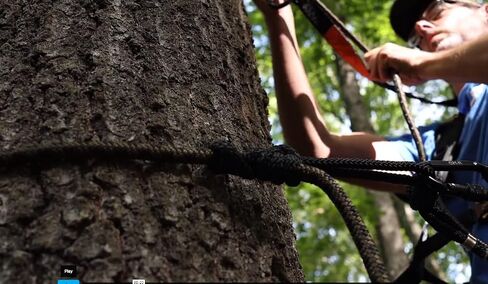 Hunter Safety System Lineman’s Climbing Rope: Hands-Free Tree Stand Installation with Dual Recon Carabiners, Adjustable 8.5 ft Safety Rope for Ladder Stands, Hang-On Stands, and Tree Steps in Saudi Arabia
