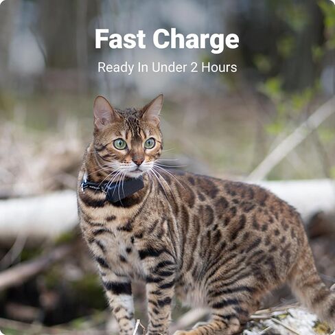 Tractive GPS Cat Mini Charging Cable in Saudi Arabia