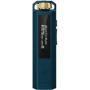 FiiO SNOWSKY Echo Nano Retro HiFi Music Player with Scroll Wheel, CS43131 DAC, USB DAC, Lossless Audio Player Supporting DSD256/FLAC/WAV/MP3, 3.5mm Output, 256GB Expansion (Black) in Saudi Arabia
