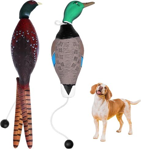 2Pcs/3Pcs Duck Dummy Dog Pheasant Toy for Outdoor Training Tools Bumper Retriever Dead Dummy Floating Mallard Recognition Trainers Toy (Duck Pigeon Chicken) in Saudi Arabia