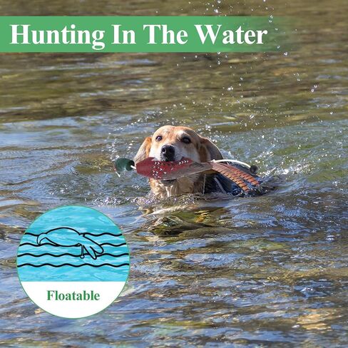 2Pcs/3Pcs Duck Dummy Dog Pheasant Toy for Outdoor Training Tools Bumper Retriever Dead Dummy Floating Mallard Recognition Trainers Toy (Duck Pigeon Chicken) in Kuwait